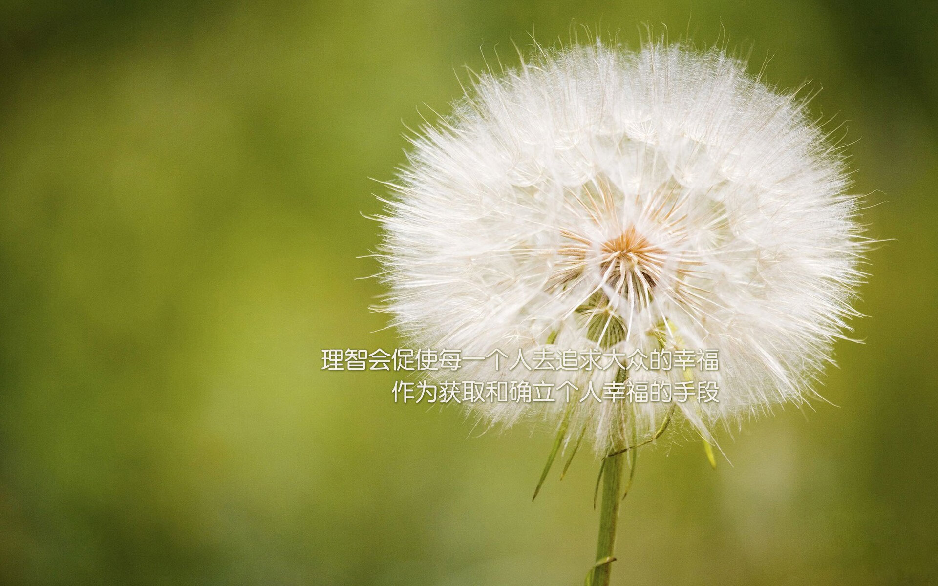 法甲推出“球迷日”,提升现场观赛氛围,法甲看球