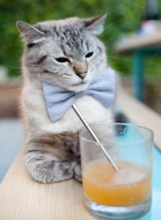 青少年篮球营销新趋势——线上赛事与线下体验双驱动,篮球网络营销方案