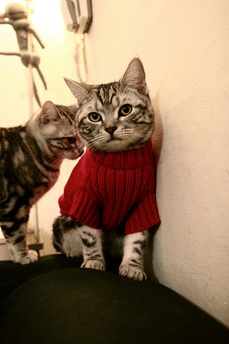 快船压哨战胜灰熊，乔治绝杀三分引爆全场，快船换乔治