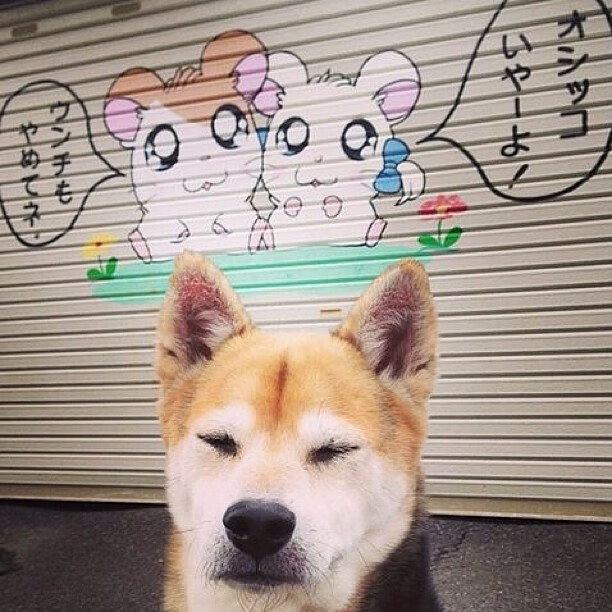 意大利女子麦迪逊车队获得金牌,场地自行车女子麦迪逊赛决赛