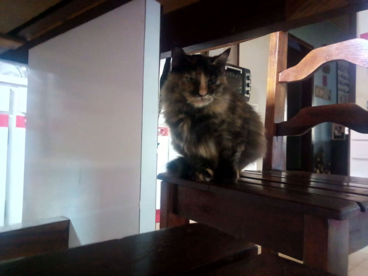 全国马拉松巡回赛浙江站顺利举办，浙江马拉松纪录挑战赛