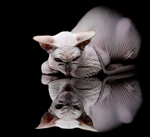 国足关键比赛换人时机成功率分析,国足比赛可以换几个人