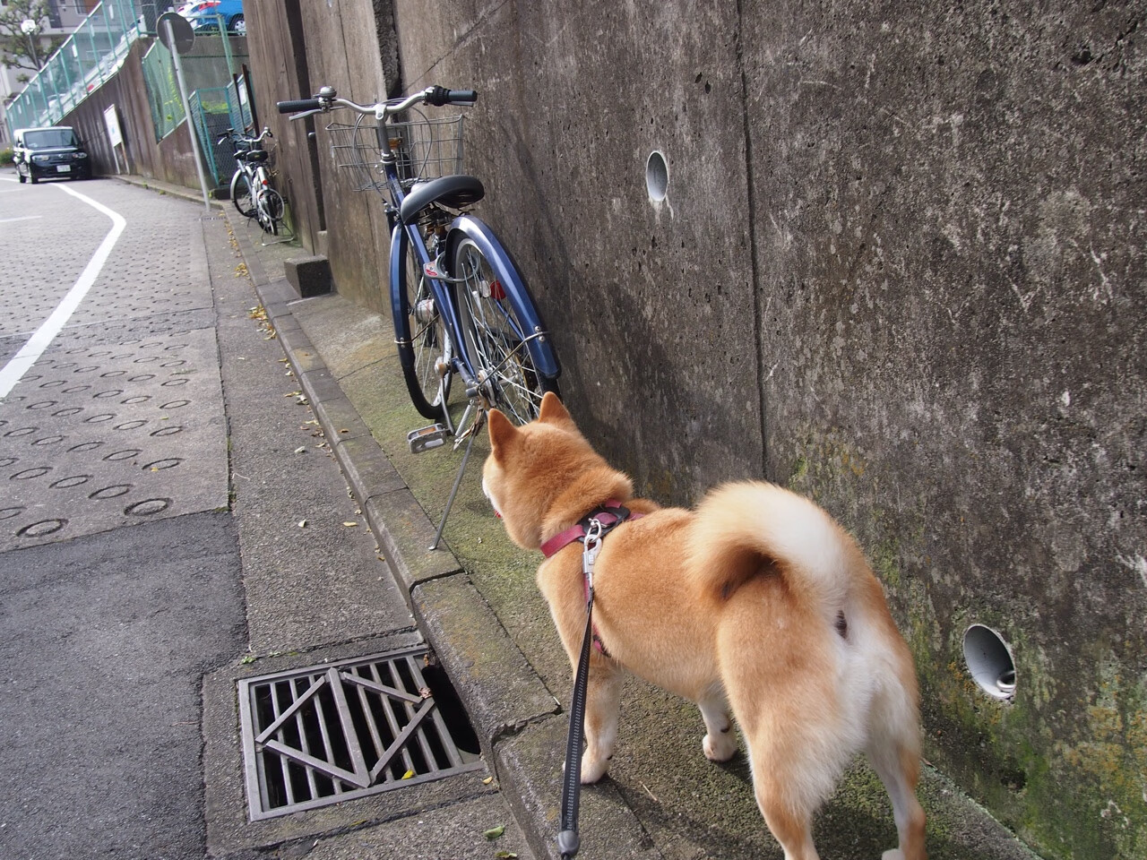 法甲豪门与中小俱乐部的薪资差距治理方案，法甲俱乐部身价