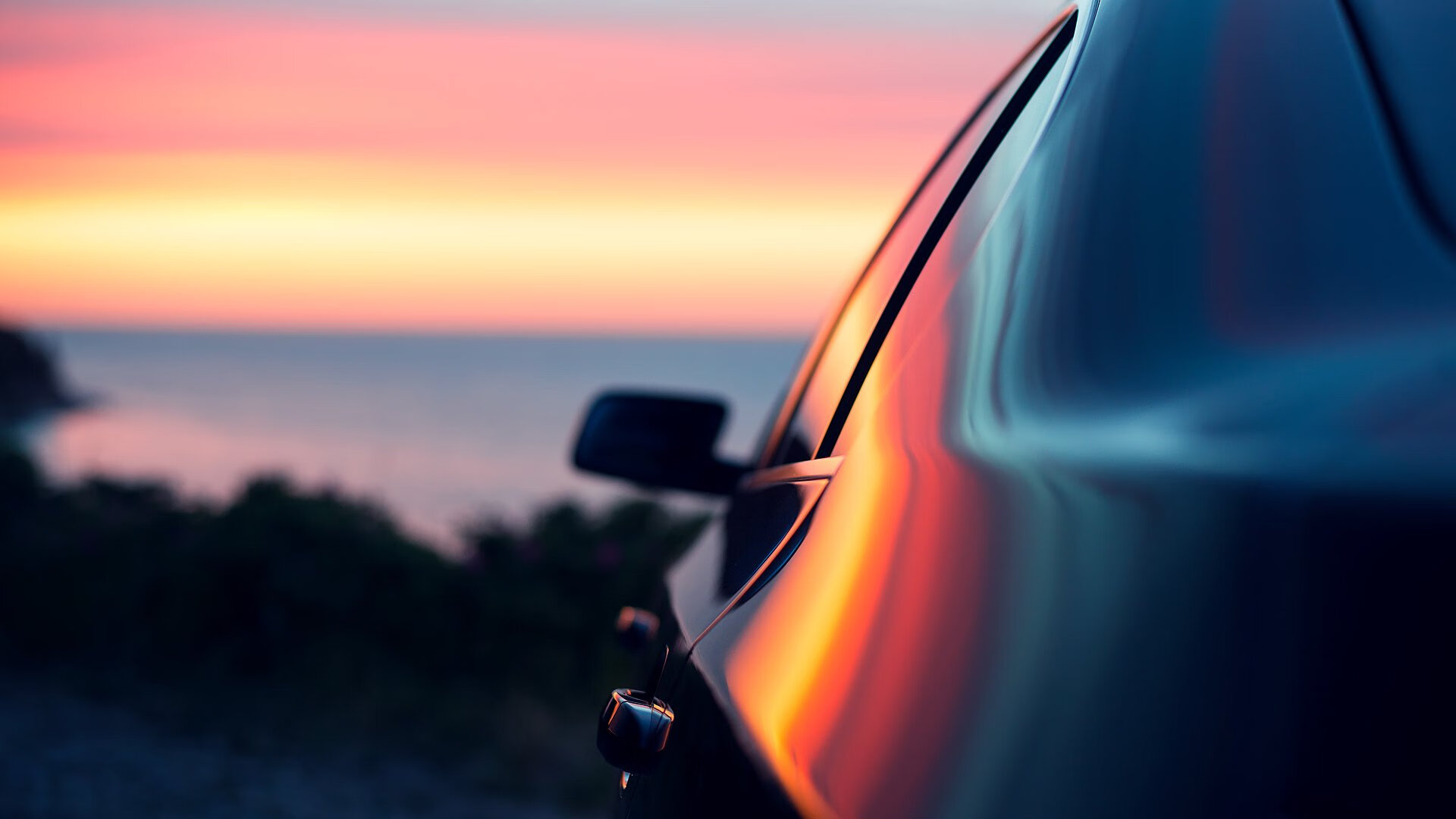 高校体育专业创新人才培养方案研究，体育产业人才培养