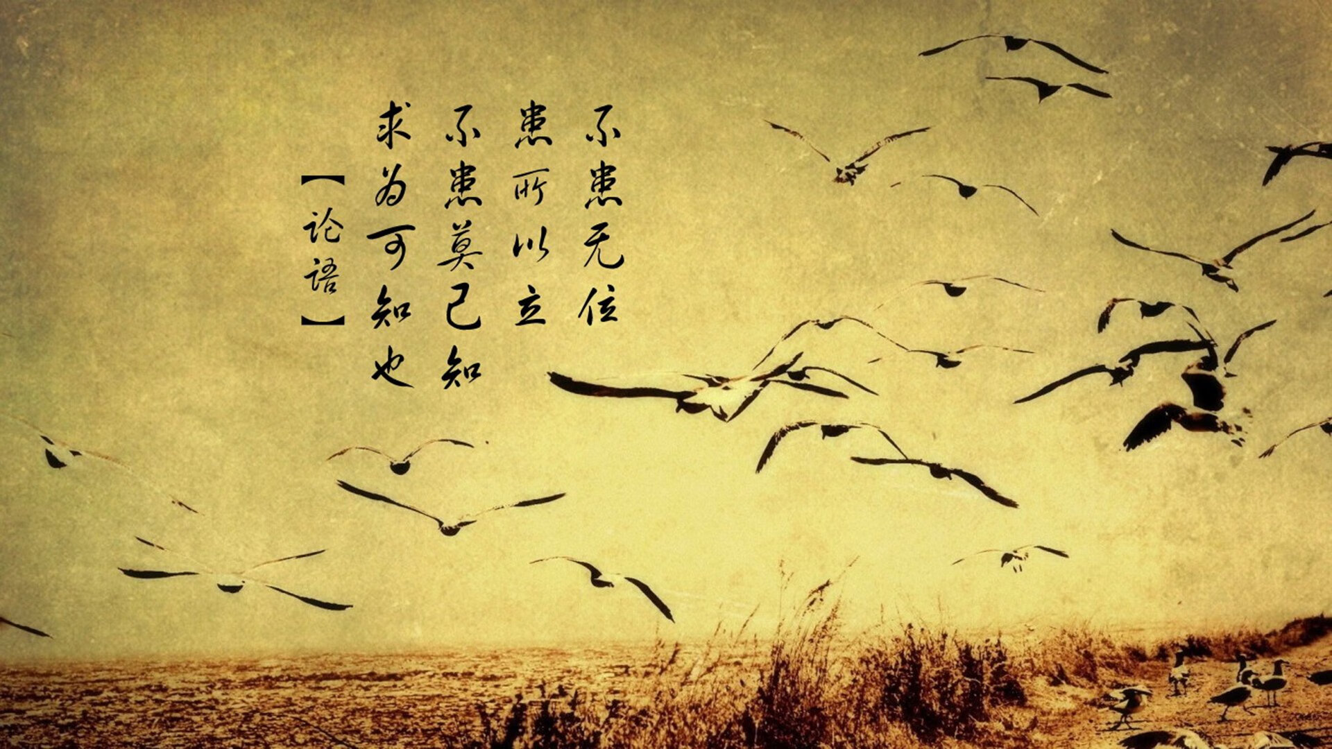 出发和转身动作对比赛影响分析,出发和动身是不是近义词